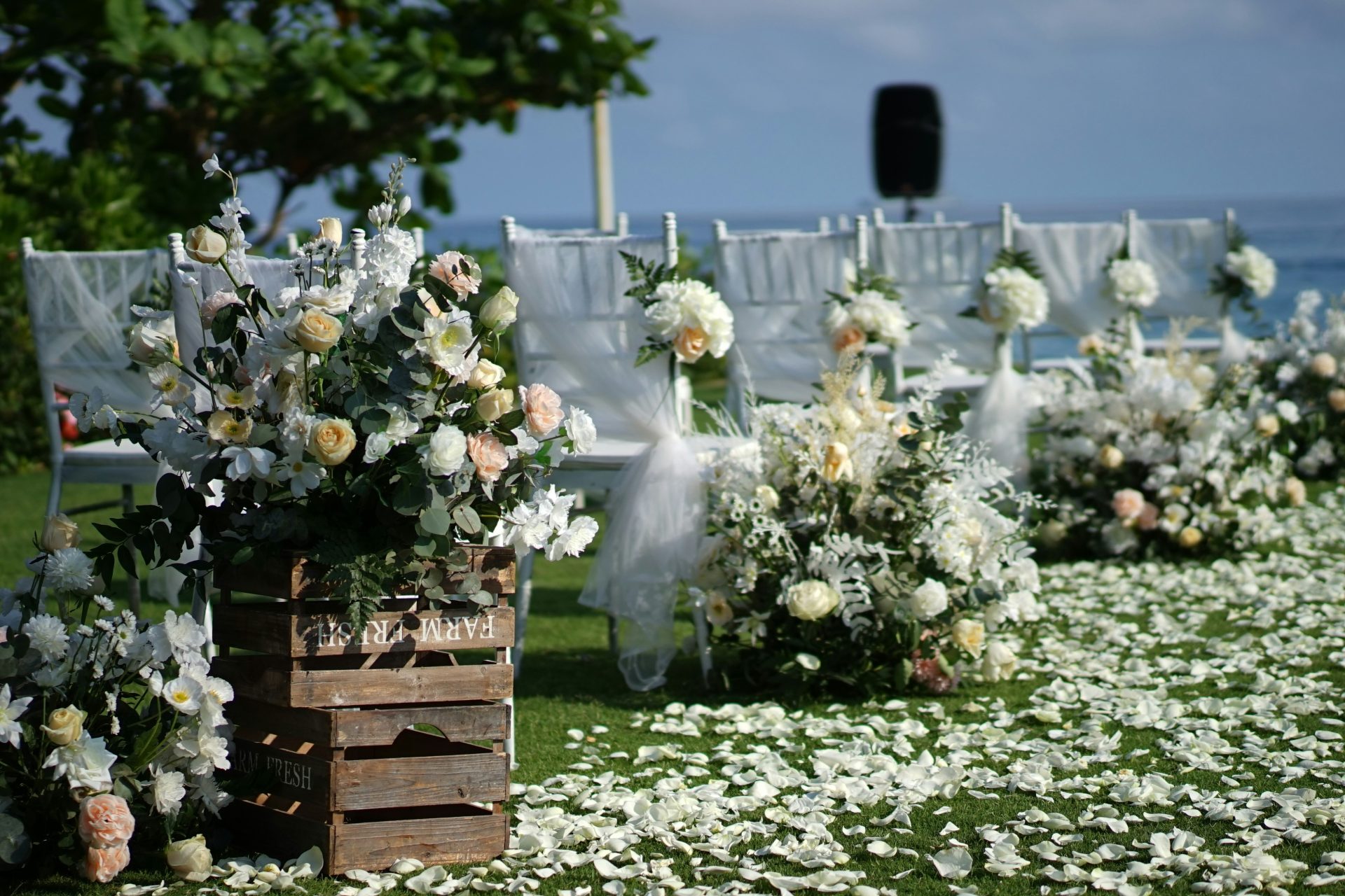 white and yellow flowers on brown wooden crate